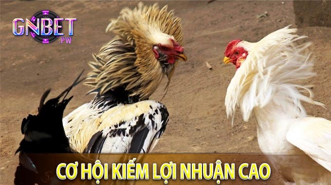 Cơ Hội Kiếm Lợi Nhuận Cao