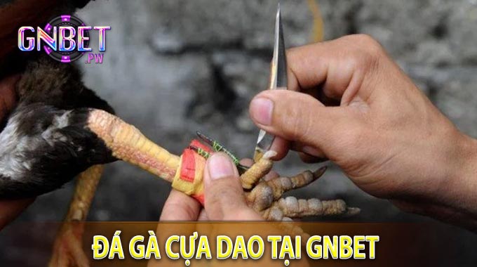 Đá Gà Cựa Dao Tại GNBET