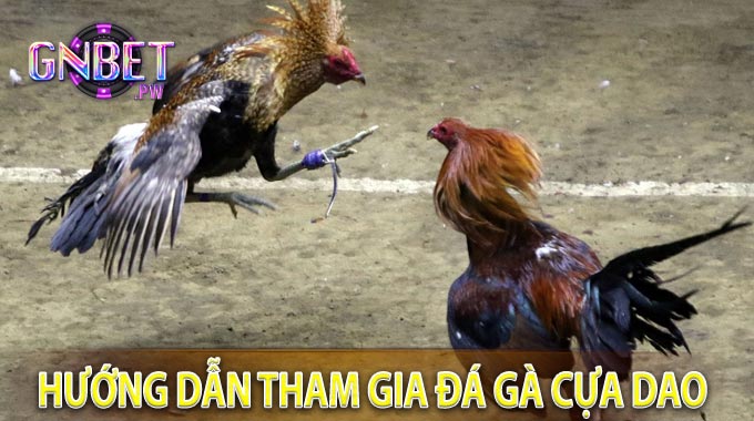 Hướng Dẫn Tham Gia Đá Gà Cựa Dao